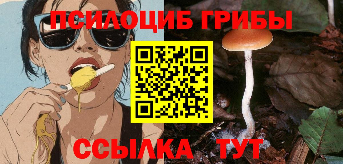 Галлюциногенные грибы Magic Shrooms  Вход с VPN  Дюртюли 